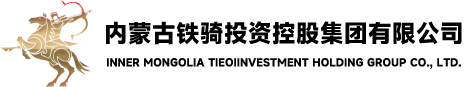 內(nèi)蒙古鐵騎投資控股集團(tuán)有限公司